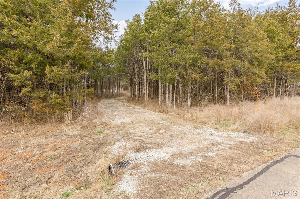 Cedr/Bent Crk - Land