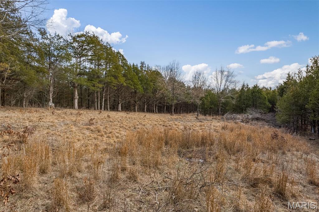 Cedr/Bent Crk - Land