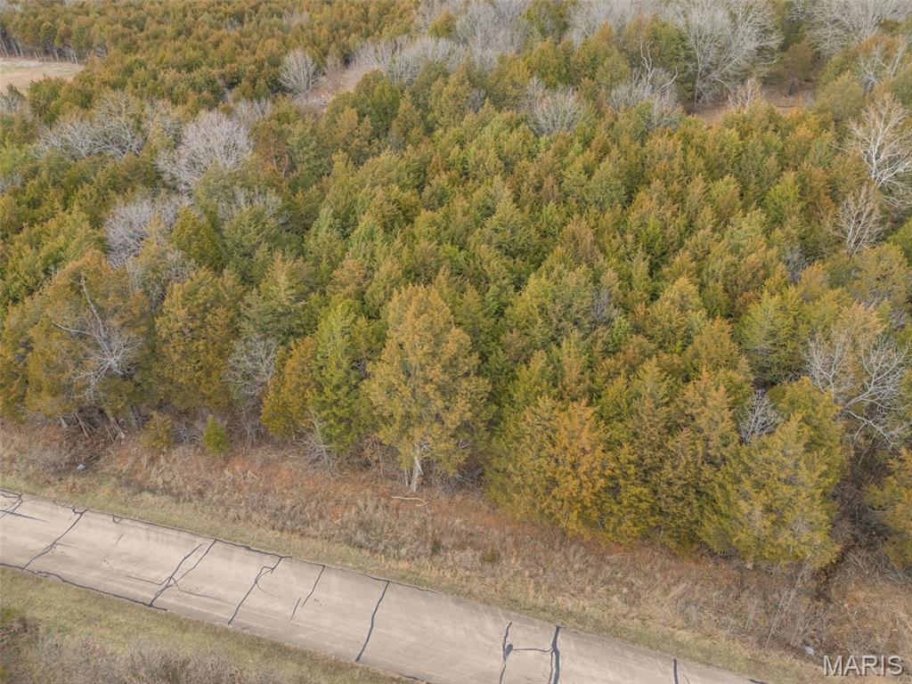 Cedr/Bent Crk - Land