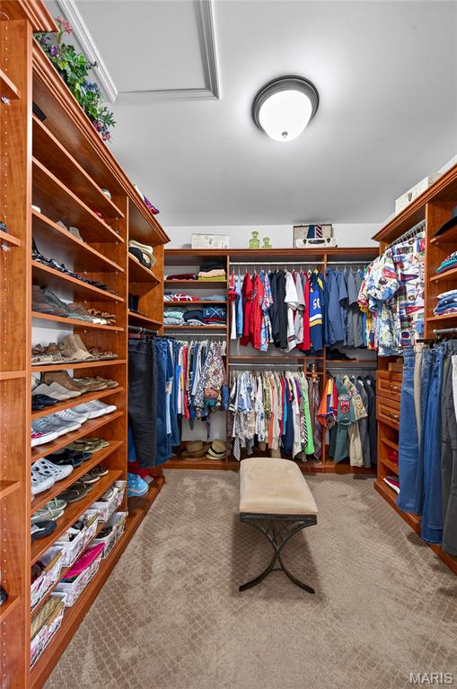 Auburn Trace - Residential