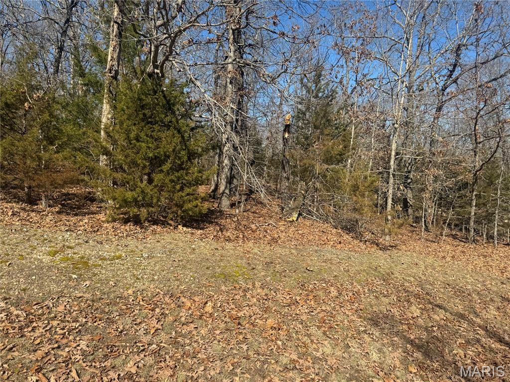 Photo of 000 Plaza Lane, Lebanon, MO 65536 (MLS # 26013022)