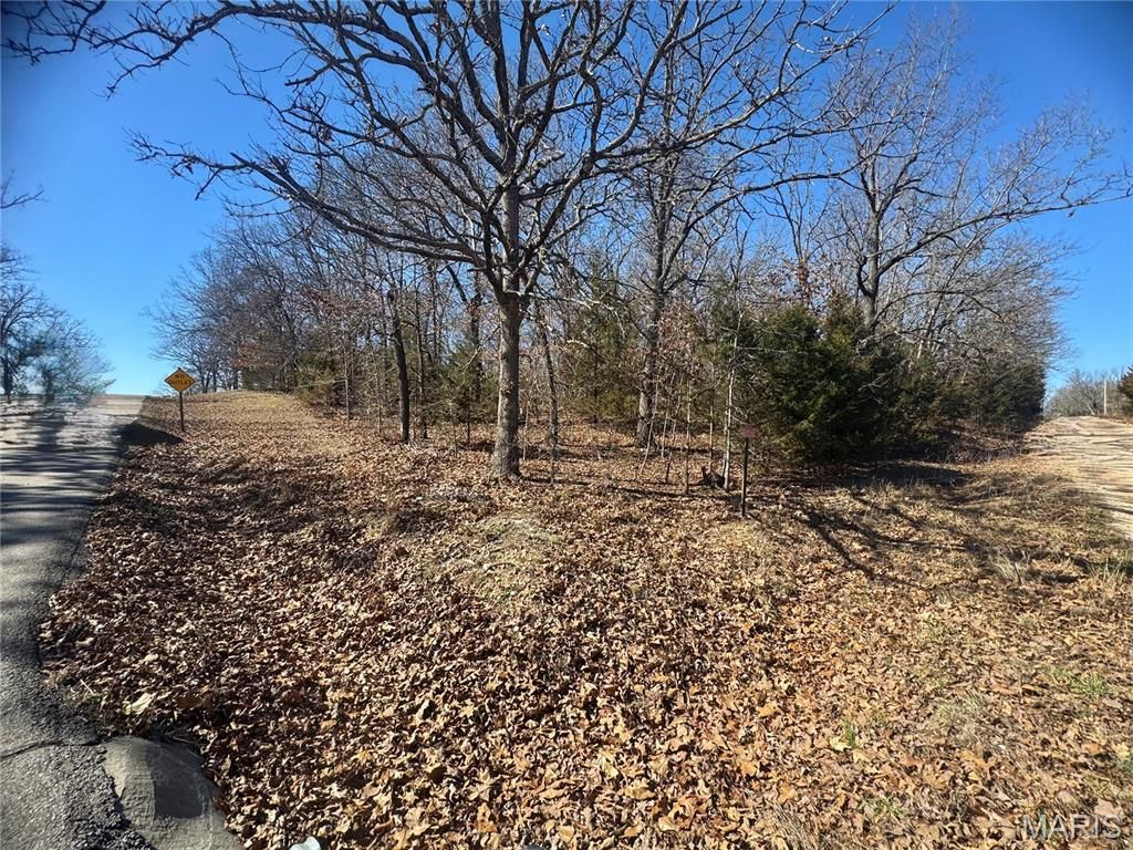 Photo of 000 Plaza Lane, Lebanon, MO 65536 (MLS # 26013022)