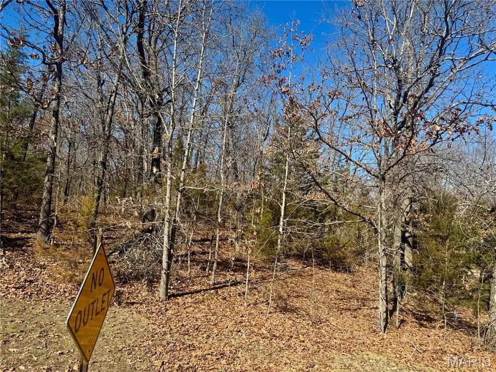 Photo of 000 Plaza Lane, Lebanon, MO 65536 (MLS # 26013022)