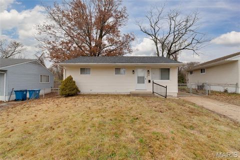 Photo of 241 Grampian Road, St Louis, MO 63137 (MLS # 25079542)