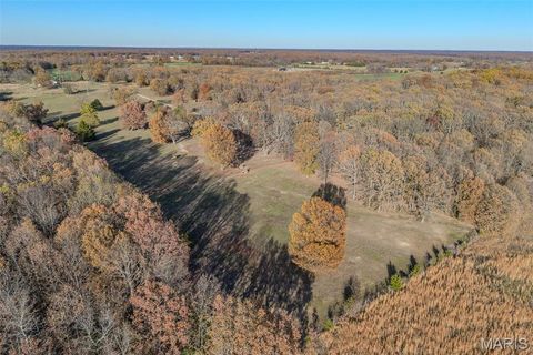Tiny photo for 15650 HWY WW, Lebanon, MO 65536 (MLS # 26020272)