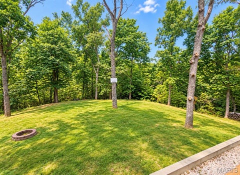 Tiny photo for 15149 HIGHWAY AA, Potosi, MO 63664 (MLS # 26058680)