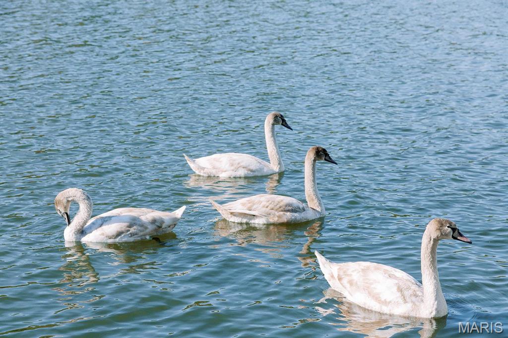 Peaceful Valley Lake Estates - Residential