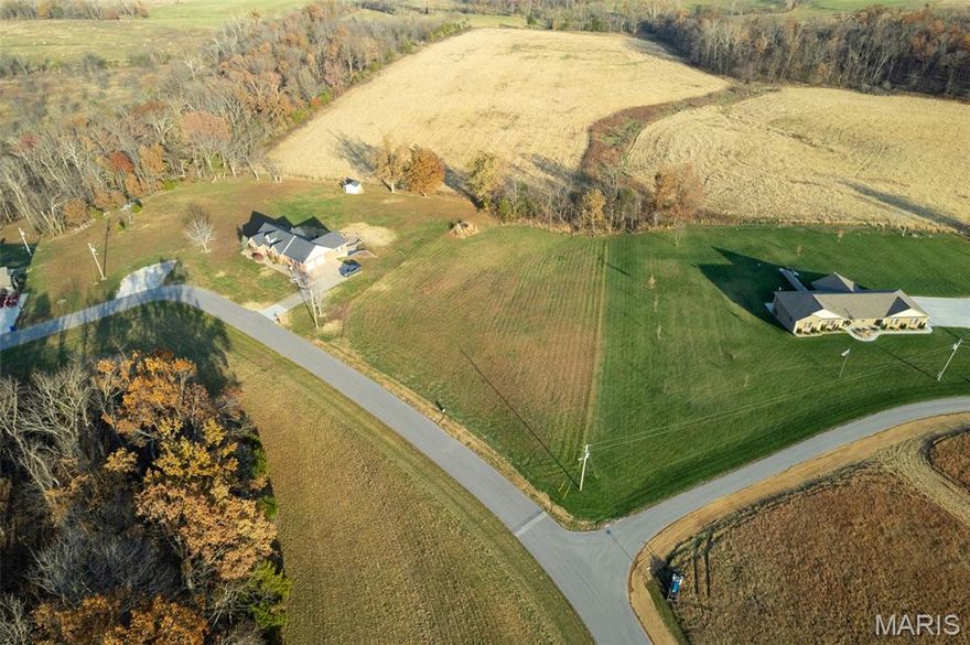 Discover the perfect place to build your dream home on this 1.48-acre lot in the desirable Tyler Branch subdivision. Located just outside of town far enough for serenity yet close enough for everyday convenience, this property offers the ideal blend of privacy and accessibility. The lot is ready for construction, with water & electric availability, and fully paved roads leading right to the site. Its gentle slope makes it an excellent candidate for a walk-out basement, allowing you to take full advantage of the beautiful views the setting provides. A rare opportunity to create the home you’ve always imagined in a well established neighborhood.