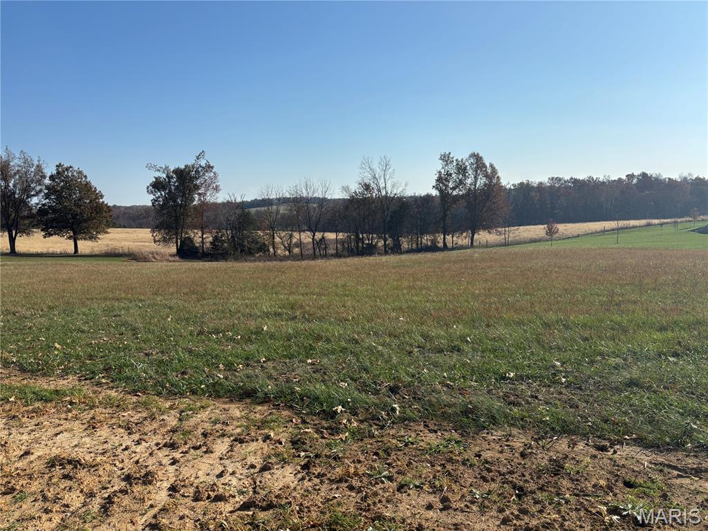 Tyler Branch Estates - Land