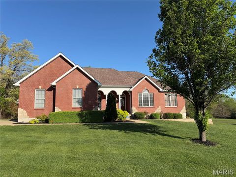 Photo of 1041 Saint Francois Hills Drive, Doe Run, MO 63637 (MLS # 26022671)