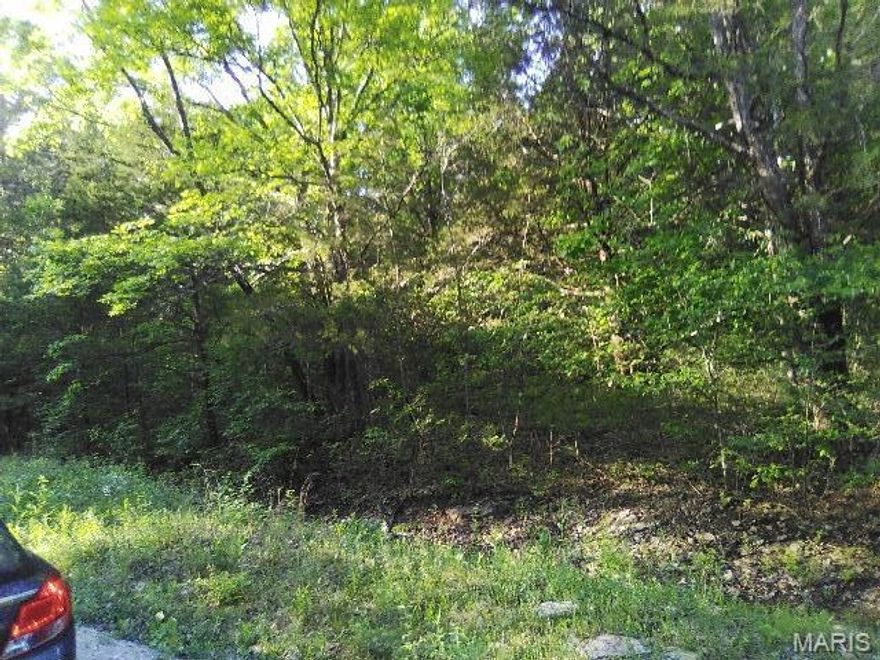Build your dream here!
Lovely trees and rolling hills, Two lots!  Beautiful build site, water view, Lake and River Access.
Tax ID:  06 7.0-26.0-4-001-003.20
Survey is ordered, should end up being almost exactly half on an acre.