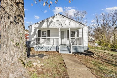 Photo of 301 E 9th Street, Leadwood, MO 63653 (MLS # 25079831)