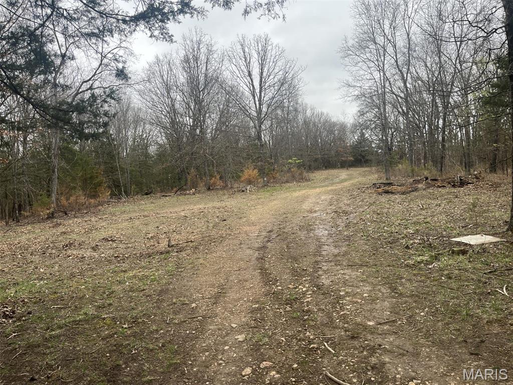 (21.58+/-Ac) Tract #6 Horstman Road