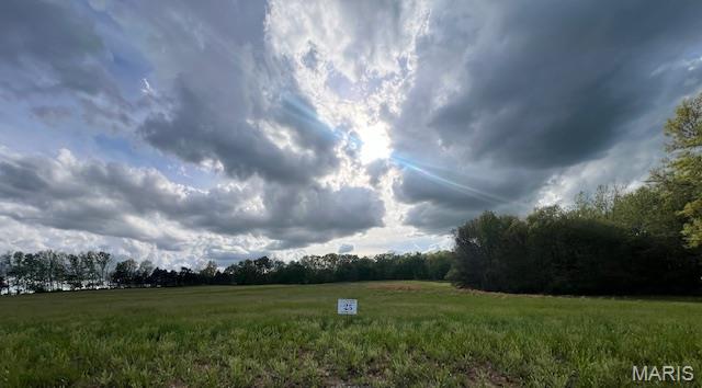 The Preserve at Holt Farms - Land
