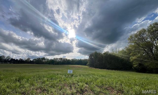 The Preserve at Holt Farms - Land