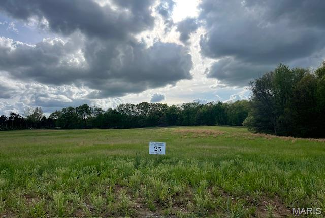The Preserve at Holt Farms - Land