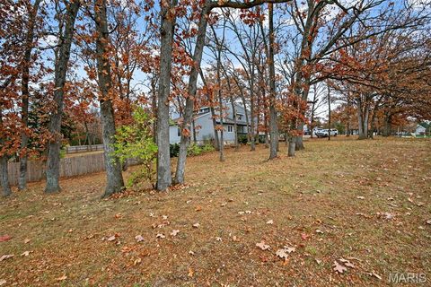 Tiny photo for 1723 Tabitite Drive, Wentzville, MO 63385 (MLS # 25077601)