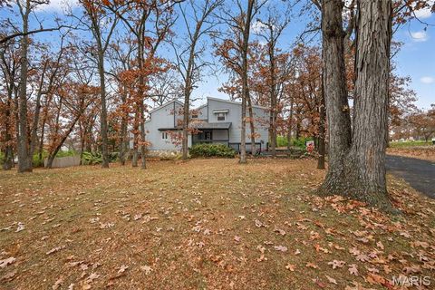 Photo of 1723 Tabitite Drive, Wentzville, MO 63385 (MLS # 25077601)