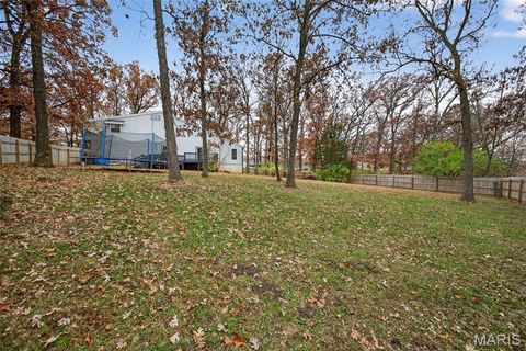 Tiny photo for 1723 Tabitite Drive, Wentzville, MO 63385 (MLS # 25077601)
