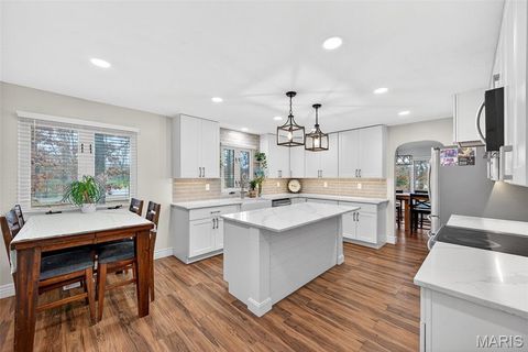 Tiny photo for 1723 Tabitite Drive, Wentzville, MO 63385 (MLS # 25077601)