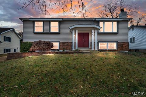 225 Vistaoak Court Ballwin MO 63021