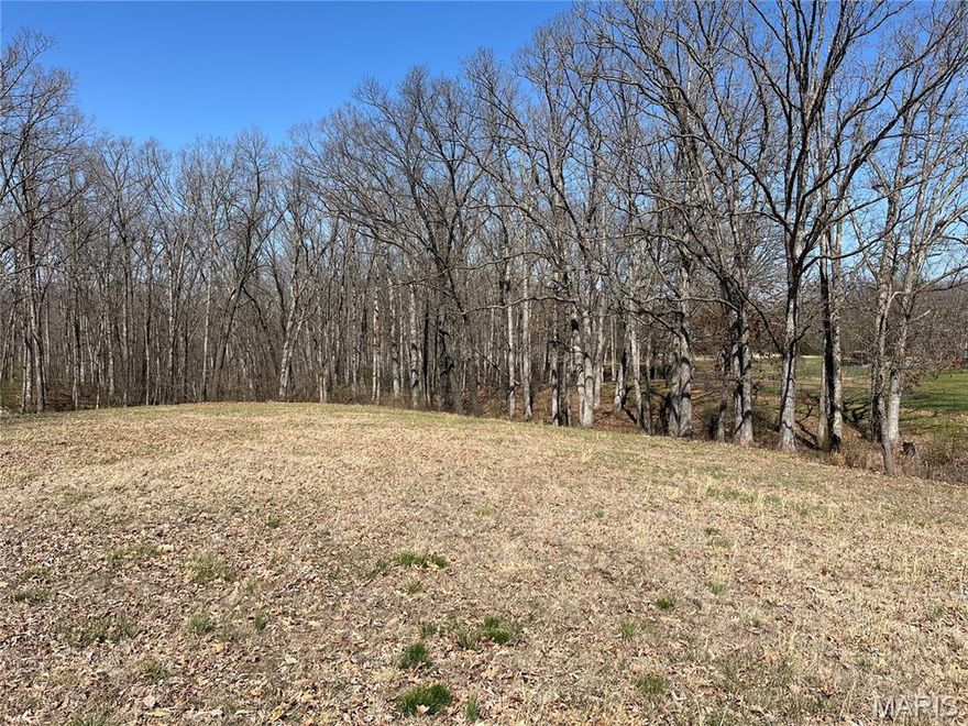 3.12 acres m/l on Hwy KK. NO restrictions! Build your dream home. Easy access to Hwy 61 and Cuivre River State park. Mostly wooded with open front. Lots this size are hard to find in Troy with no restrictions.