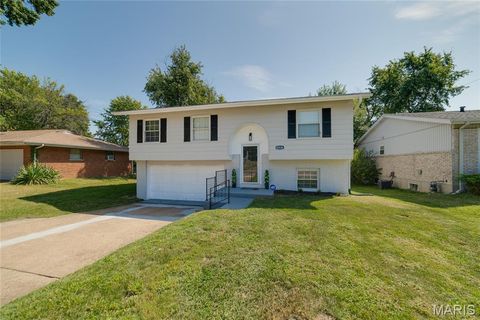 12036 Mendoza Avenue Hazelwood MO 63138