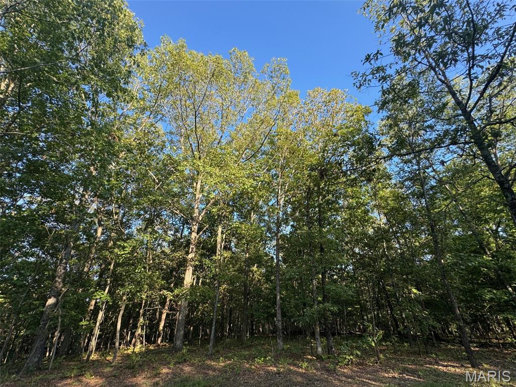 150 Steeple Point Dr. Lot #10 Drive