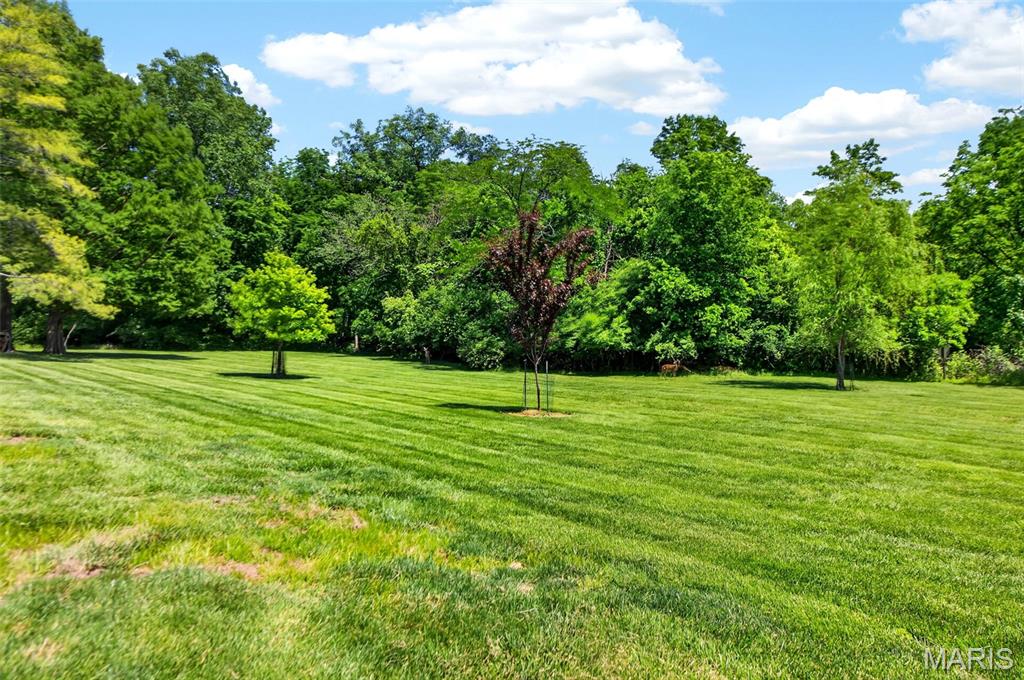 Creve Coeur Station Condo - Residential