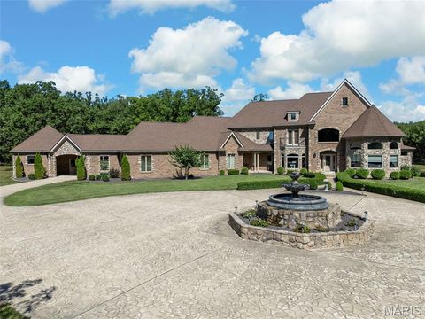 Photo of 395 Highway V, Troy, MO 63379 (MLS # 25065126)