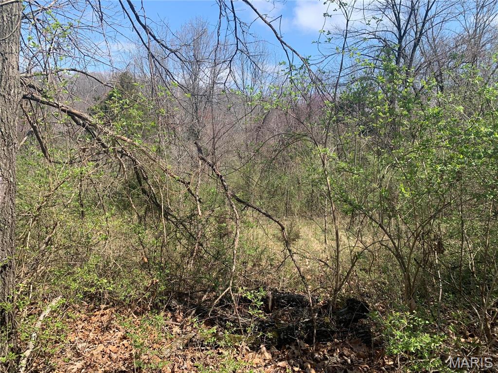 Paige Estates - Land