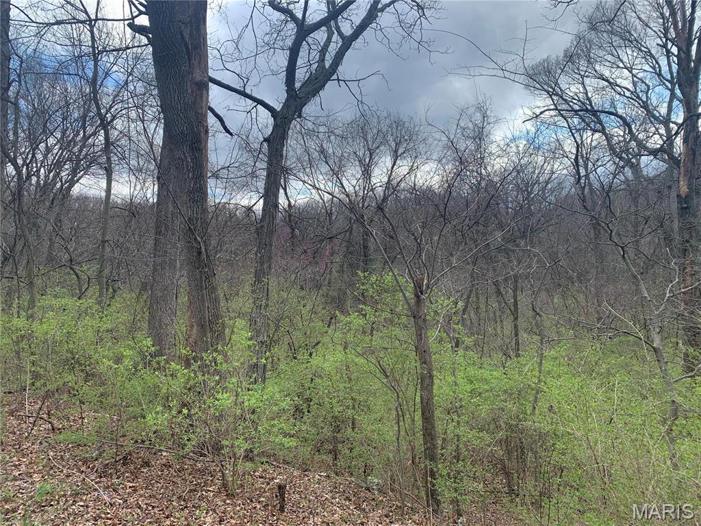 Paige Estates - Land