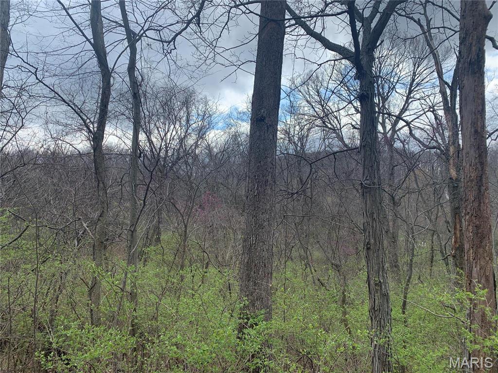 Paige Estates - Land