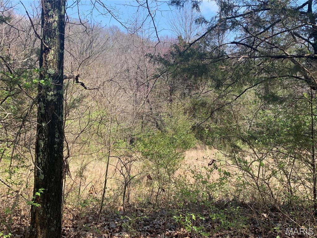 Paige Estates - Land