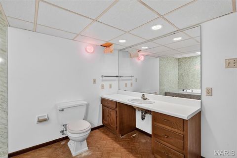 Tiny photo for 2202 White Cedar Court, Chesterfield, MO 63017 (MLS # 25074948)