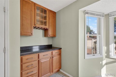 Tiny photo for 2202 White Cedar Court, Chesterfield, MO 63017 (MLS # 25074948)