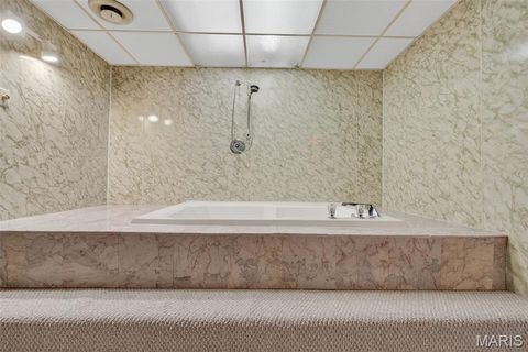 Tiny photo for 2202 White Cedar Court, Chesterfield, MO 63017 (MLS # 25074948)