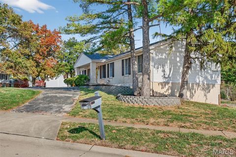 Tiny photo for 2202 White Cedar Court, Chesterfield, MO 63017 (MLS # 25074948)