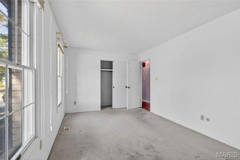 Tiny photo for 2202 White Cedar Court, Chesterfield, MO 63017 (MLS # 25074948)