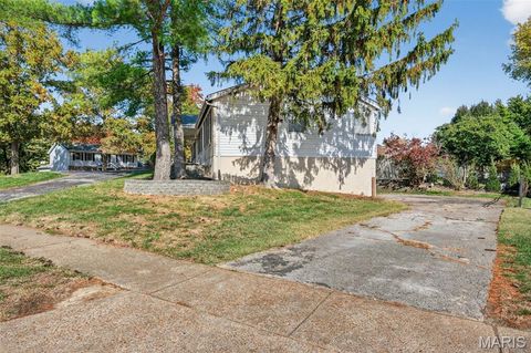 Tiny photo for 2202 White Cedar Court, Chesterfield, MO 63017 (MLS # 25074948)