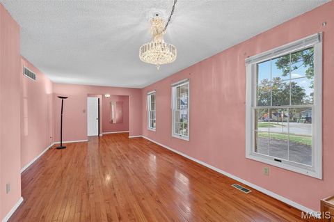 Tiny photo for 2202 White Cedar Court, Chesterfield, MO 63017 (MLS # 25074948)