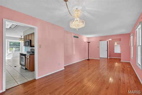 Tiny photo for 2202 White Cedar Court, Chesterfield, MO 63017 (MLS # 25074948)