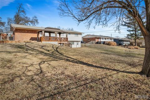 Tiny photo for 3588 Eileen Ann Drive, St Louis, MO 63129 (MLS # 26007665)