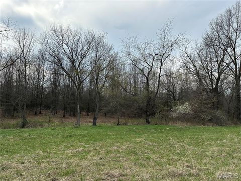 Tiny photo for 0 Route N, Monroe City, MO 63456 (MLS # 26018897)