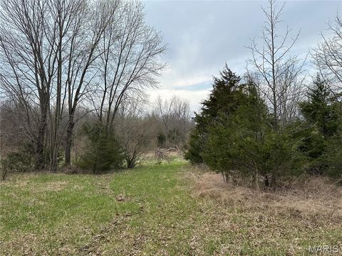 Tiny photo for 0 Route N, Monroe City, MO 63456 (MLS # 26018897)