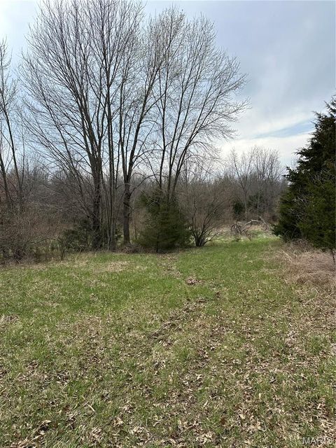 Tiny photo for 0 Route N, Monroe City, MO 63456 (MLS # 26018897)