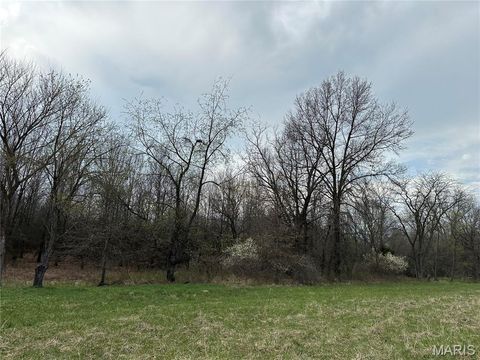Tiny photo for 0 Route N, Monroe City, MO 63456 (MLS # 26018897)