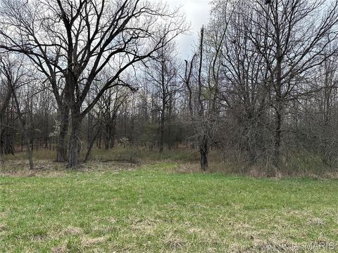 Tiny photo for 0 Route N, Monroe City, MO 63456 (MLS # 26018897)