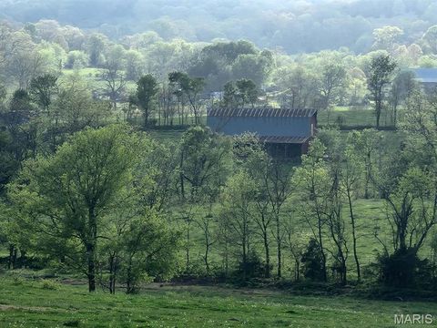 Tiny photo for TBD M- Little Creek Road, Mountain Grove, MO 65711 (MLS # 26024317)