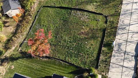 Tiny photo for 2037 Lily Avenue, Kirkwood, MO 63122 (MLS # 25074713)